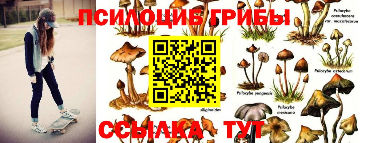 Галлюциногенные грибы ЛСД Нурлат